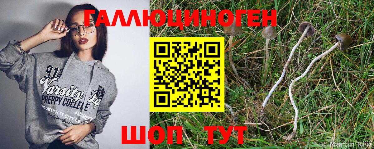 Элиста  Галлюциногенные грибы ЛСД  закладки  Вход с VPN 